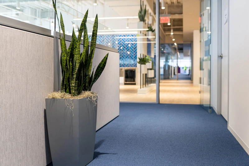 Carpets for High-Traffic Areas Carpets for High-Traffic Areas