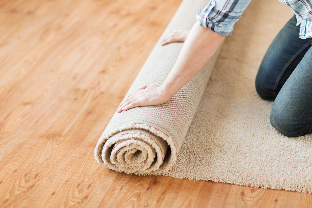 Top Design Trends for Auditorium Carpets in 2024 Top Design Trends for Auditorium Carpets in 2024