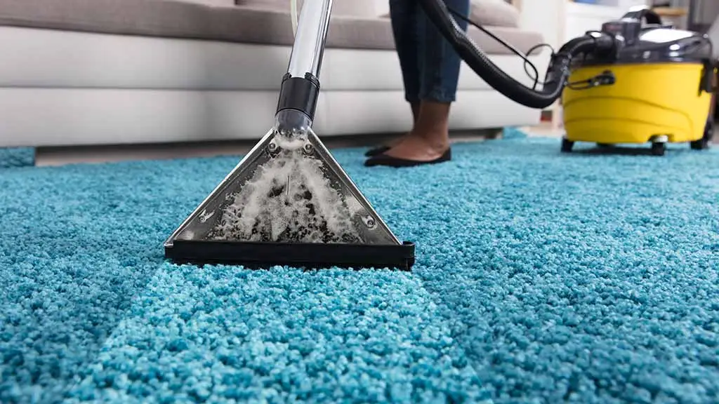 Carpet Maintenance
